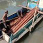 Enam Kubik Kayu Ulin Diamankan Satintel Brimob Polda Kaltara