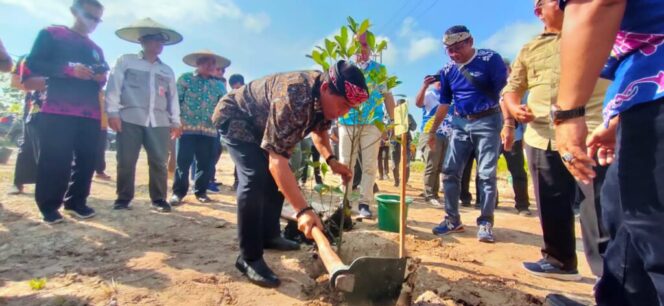
 Jadi Rangkaian HUT Kaltara, Gubernur Ikuti Penanaman Bibit di Desa Tengkapak