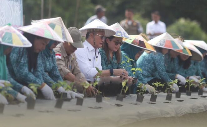
 Hadiri Gerakan Tanam Cabai Oleh PKK, Bupati Wempi Ajak Semua Ikut Serta