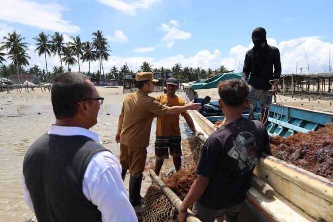 
 Pj. Wali Kota Tarakan Turun Langsung Kunjungan Lapangan di Pantai Amal