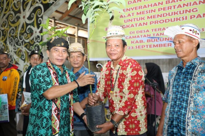 
 Gubernur Kaltara, DR (HC) H Zaina A Paliwang, M.Hum menyerahkan bantuan pertanian beberapa waktu lalu. 