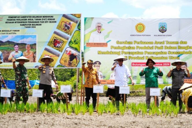 
 Gubernur Kaltara, DR (HC) H Zainal A Paliwang, M.Hum menggalakkan aksi tanam padi di Dusun Sekang, Desa Antutan, Kecamatan Tanjung Palas, Kamis (1/8).
