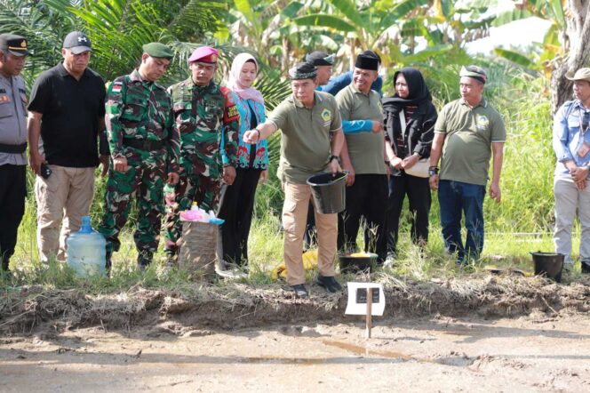 
 PENINGKATAN PRODUKSI : Gubernur Kaltara, Dr. H. Zainal A. Paliwang, SH, M.Hum meninjau lahan produksi pertanian di Desa Tanjung Aru, Senin (16/9).  