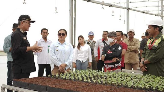 
 MHL Bangun Pabrik Palet Kayu di Malinau, Bupati Wempi Harap Tumbuhkan Peluang Ekonomi dan Bangun Kesejahteraan bagi Masyarakat Sekitar