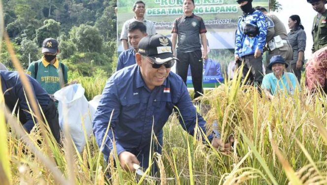 
 Hasil Ubinan Capai 9.4 ton, Wabup Apresiasi Kelompok Penangkar “Rurum Kei”