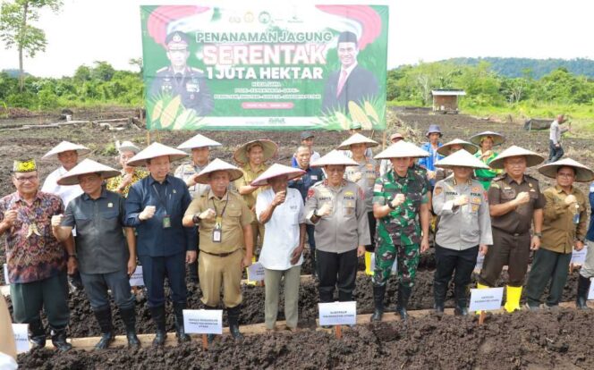 
 Pemprov Kaltara dan Polda Laksanakan Penanaman Jagung Serentak 1 Juta Hektar