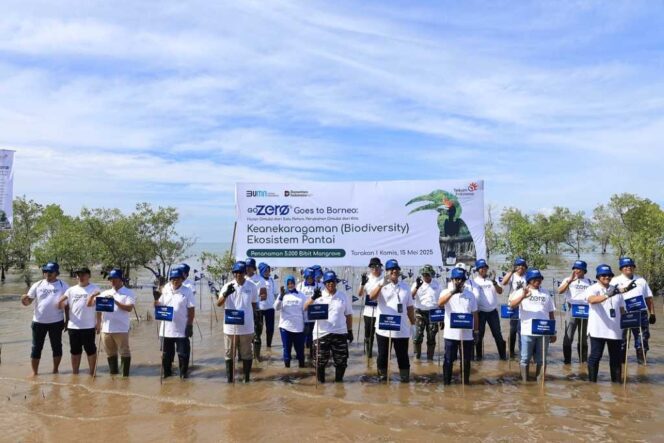 
 Wali Kota Tarakan Ikut Berpartisipasi Dalam Penanaman 5.000 Bibit Pohon Mangrove