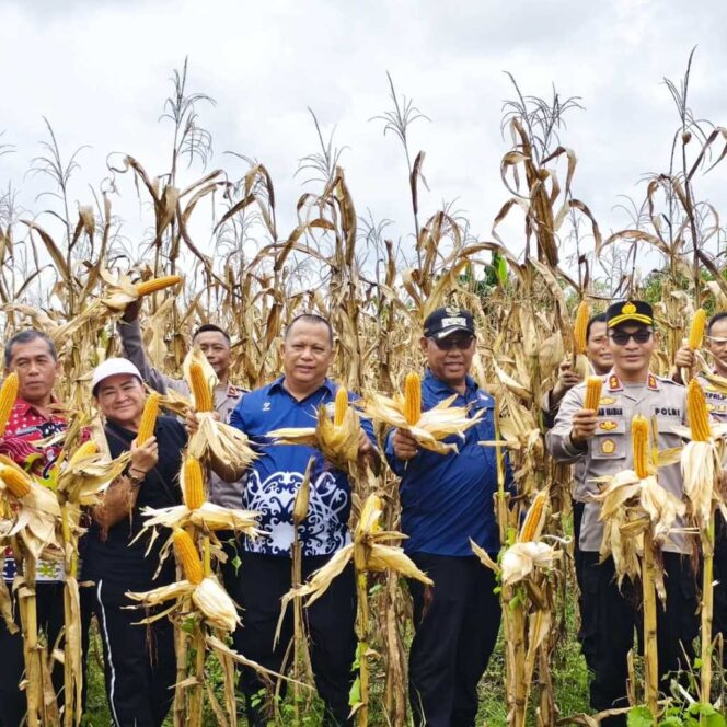 
 Polres bersama dengan Pemkab Malinau Mengikuti Zoom Meeting Panen Raya Jagung Serentak Kuartal II 2025