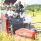 Bupati Nunukan Irwan Sabri Panen Raya Padi di Desa Binalawan