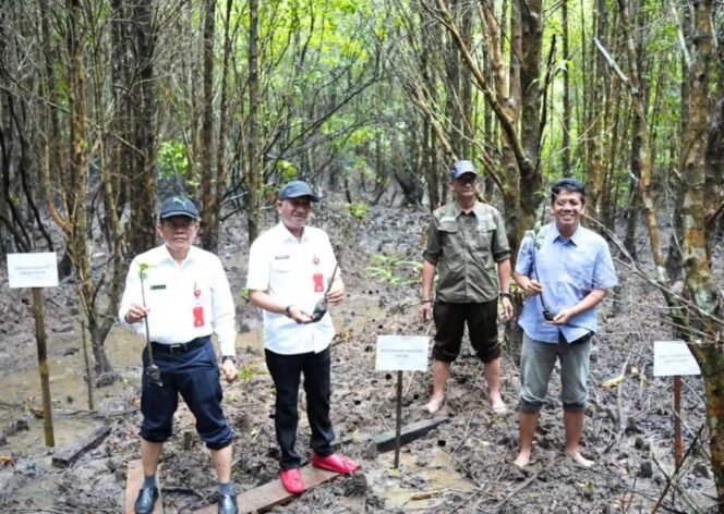 
 Kawasan Mangrove Belaga One Dipilih Menjadi Lokasi Workshop dan Sosialisasi Rehabilitasi Ekosistem Mangrove