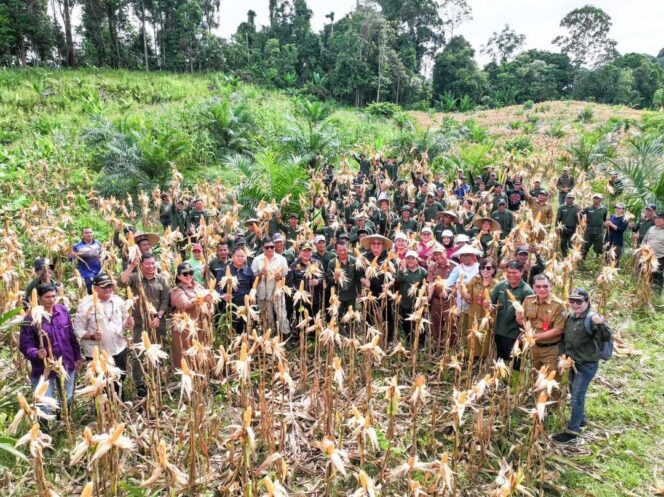 
 Optimalisasi Lahan Tidur untuk Ketahanan Pangan Kabupaten Malinau
