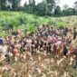 Optimalisasi Lahan Tidur untuk Ketahanan Pangan Kabupaten MalinauMalinau - Bupati Malinau Wempi
