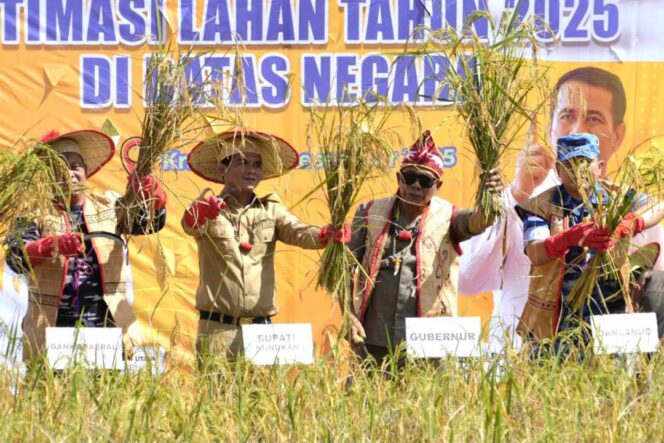 
 Panen Raya di Perbatasan Negeri, Gubernur Dorong Pengembangan Padi Adan