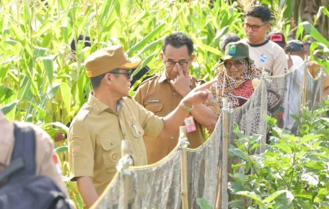 
 Dari Peninjauan Longsor hingga Panen Jagung, Bupati Nunukan Dukung Ketahanan Pangan Desa