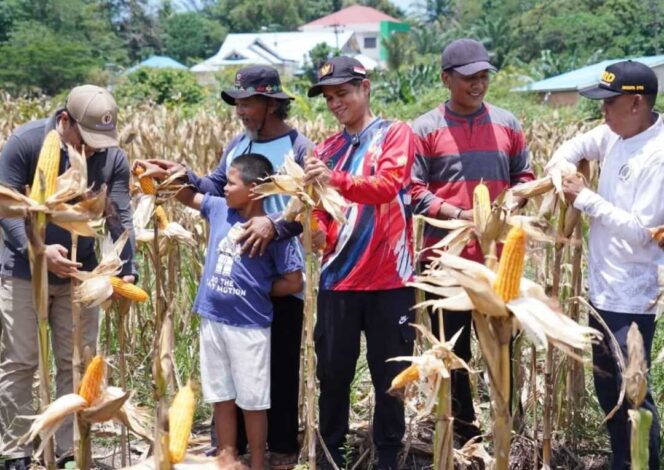 
 Kunjungi Kebun Melon dan Jagung, Bupati Serap Aspirasi, Melihat dan Mendengar Kebutuhan Petani