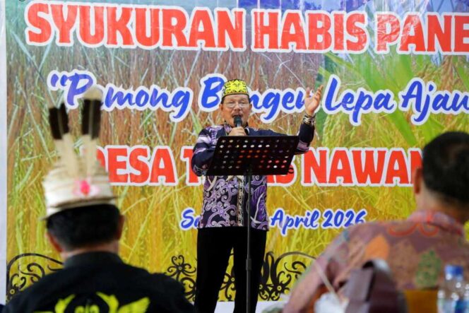 
 Panen Raya Teras Nawang, Bukti Ketahanan Pangan Kaltara