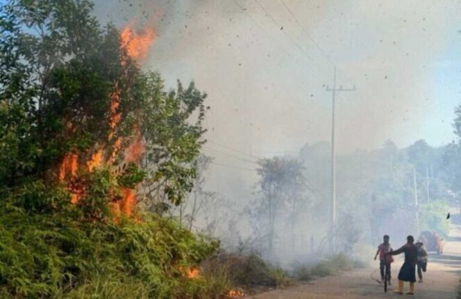 
 Titik Panas Mulai Muncul di Kaltim dan Kaltara, 8 Hektar Lahan Terbakar