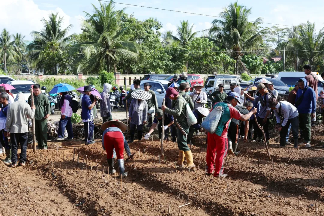 Pemkab Malinau Gandeng UNHAS Kembangkan Bibit Jagung Unggulan Untuk Ketahanan Pangan Daerah 2