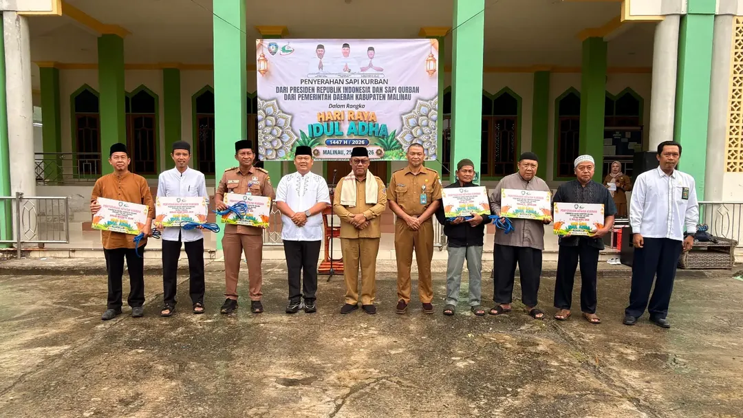 Wabup Malinau Serahkan Sapi Qurban Presiden RI dan Pemerintah Daerah Kabupaten Malinau