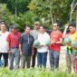 Dorong Pengembangan Sektor Pertanian Hortikultura