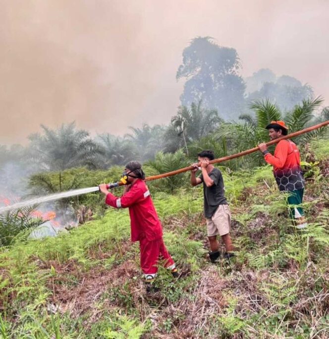 
 Dishut Perkuat Kesiapsiagaan, 282 Hotspot Terdeteksi hingga September