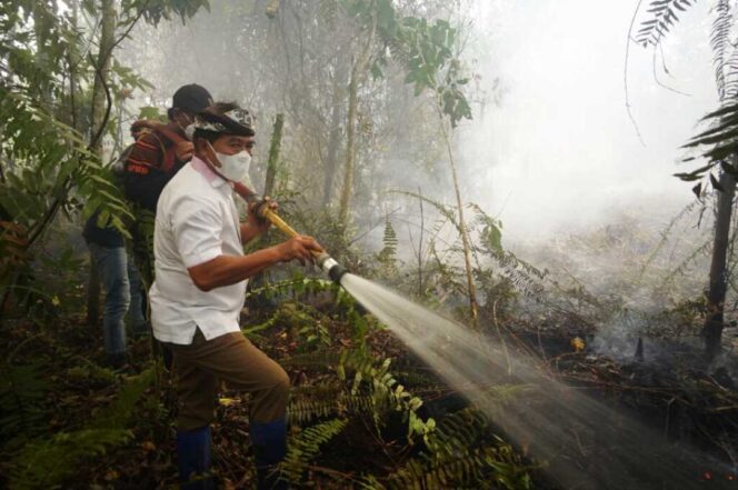 
 Gubernur Turun Langsung Padamkan Karhutla di Selimau