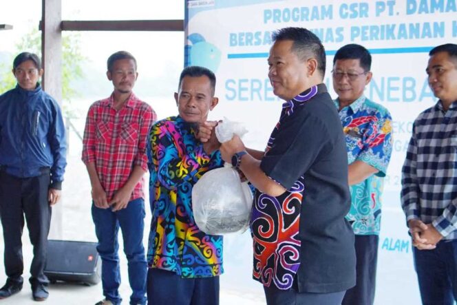 
 Restocking Benih Patin Sebanyak 20.000 di Sungai Sesayap, Langkah Nyata Hidupkan Kembali Ekosistem Perairan Malinau