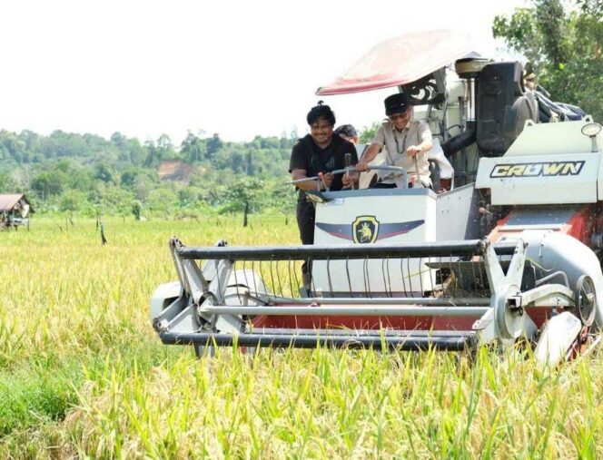 
 Farmer Field Day, Wabup Hermanus: Dukung Terus Pengembangan Sektor Pertanian