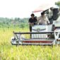 Farmer Field Day